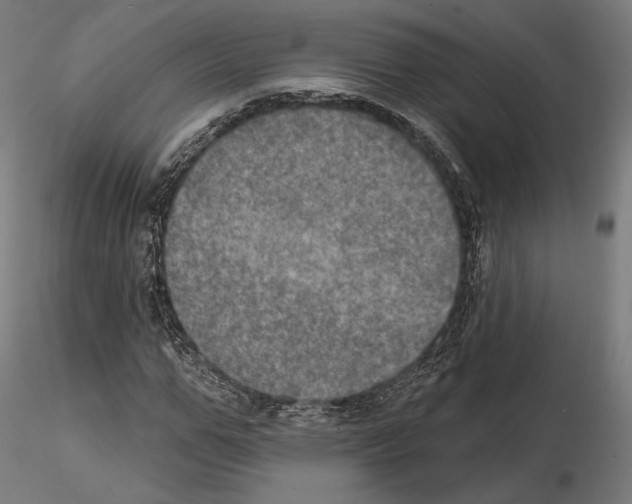 X0000115070967200912081144