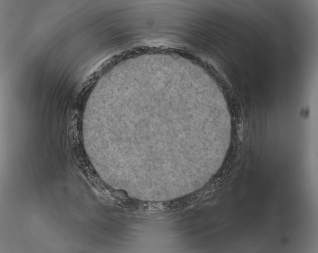 X0000115070968200912081144