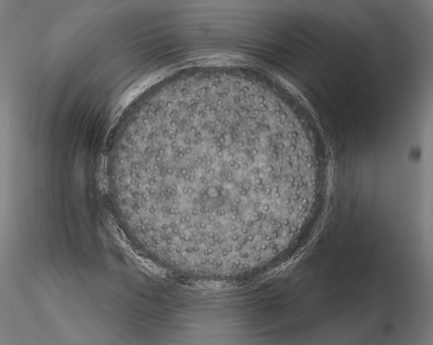 X0000115070970200912081144