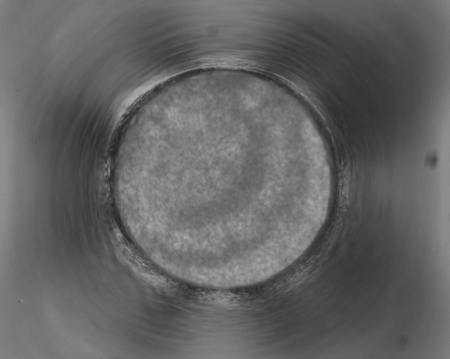 X0000115070971200912081144
