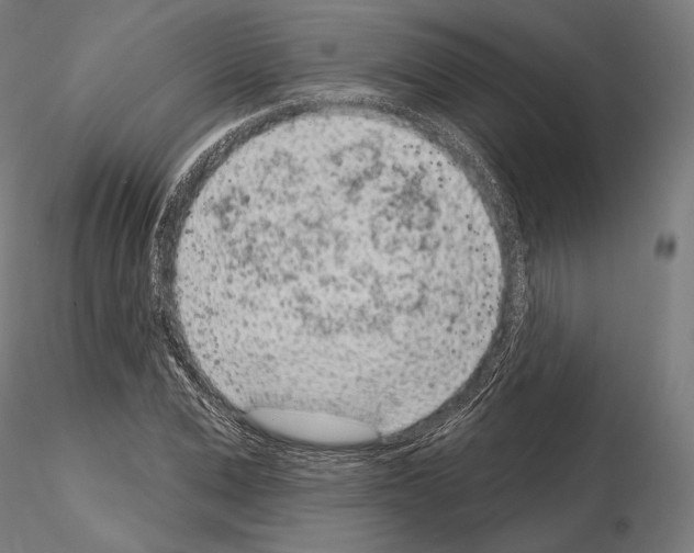 X0000115070975200912081144