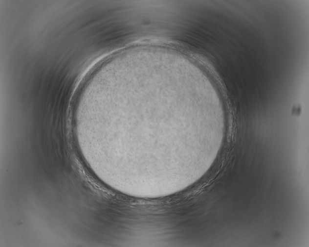 X0000115070976200912081144