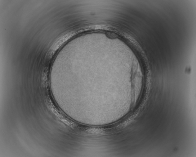 X0000115070977200912081144