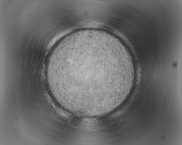 X0000115070978200912081144