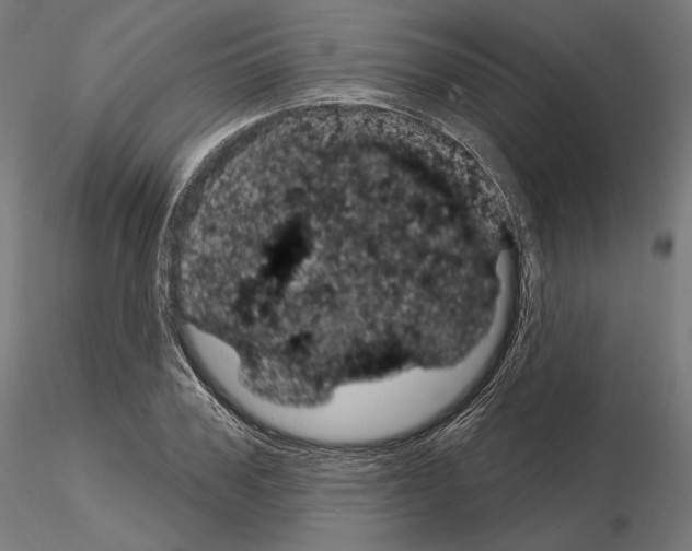 X0000115070979200912081144