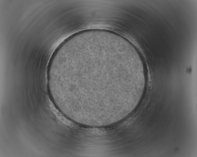 X0000115070980200912081144