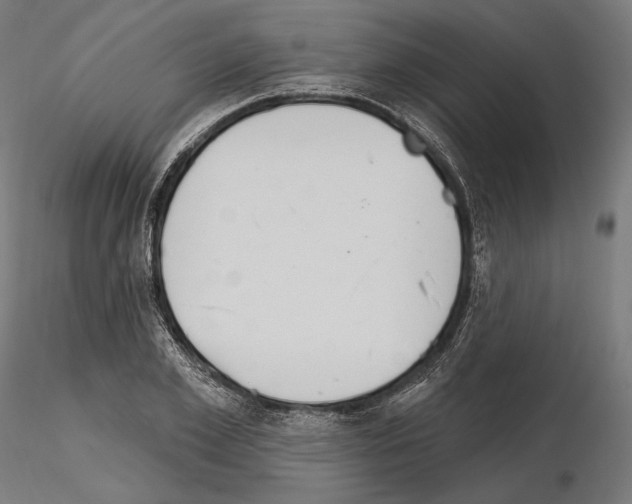 X0000115070981200912081144