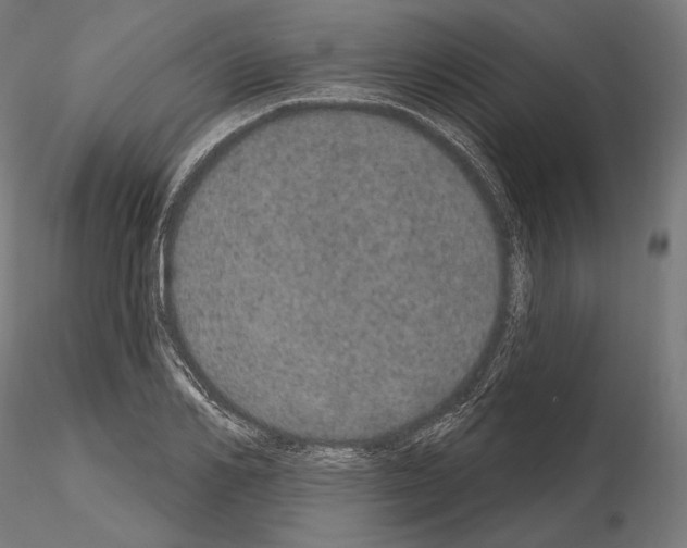 X0000115070982200912081144
