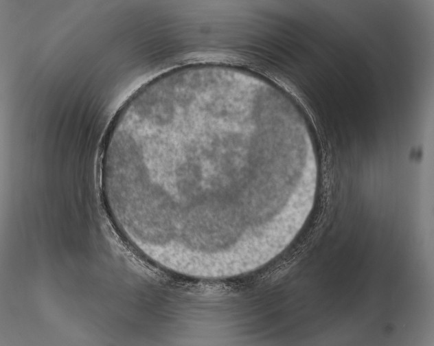 X0000115070983200912081144