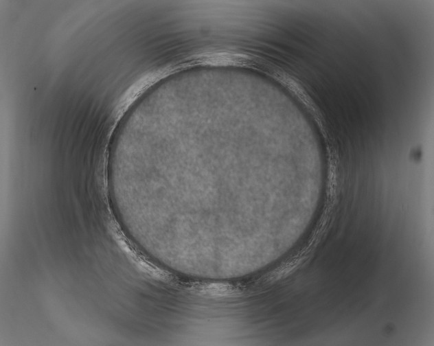 X0000115070986200912081143