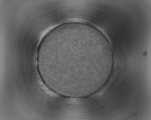 X0000115070987200912081143