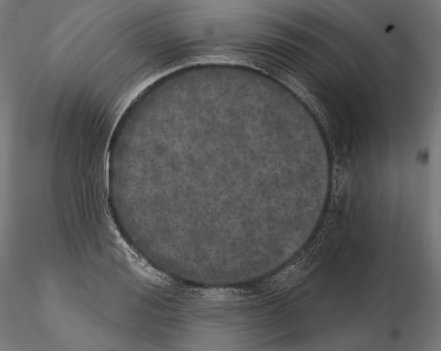 X0000115070988200912081143