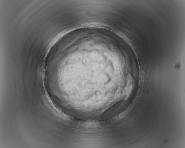 X0000115070989200912081143