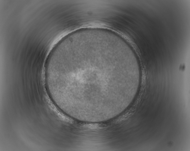 X0000115070990200912081143