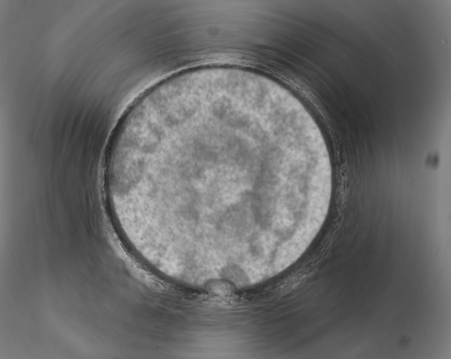 X0000115070991200912081143