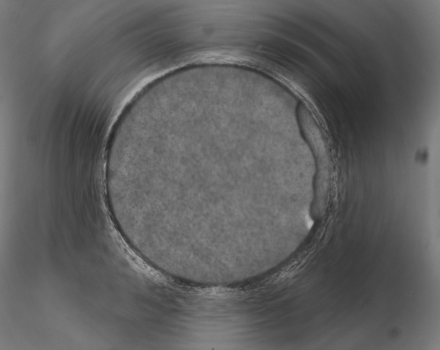 X0000115070992200912081143