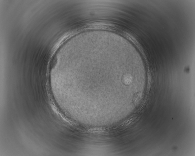 X0000115070994200912081143