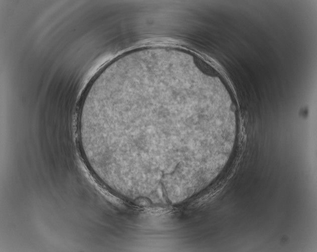 X0000115070997200912081143