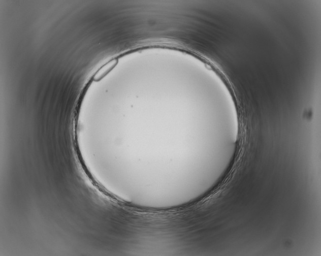 X0000115070999200912081143