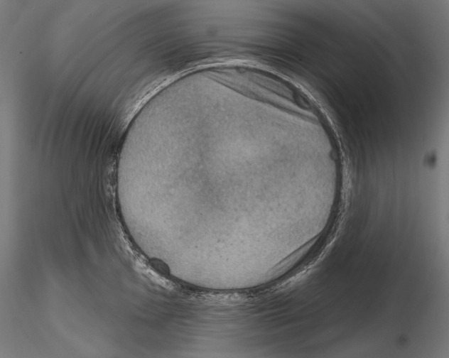 X0000115071001200912081143