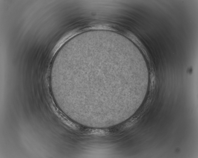 X0000115071002200912081143