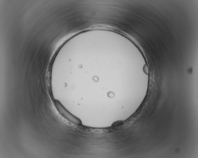 X0000115071003200912081143