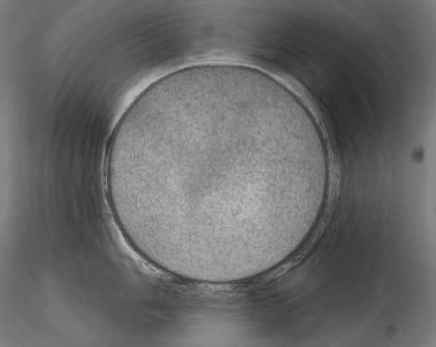 X0000115071006200912081143