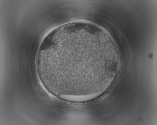 X0000115071007200912081143