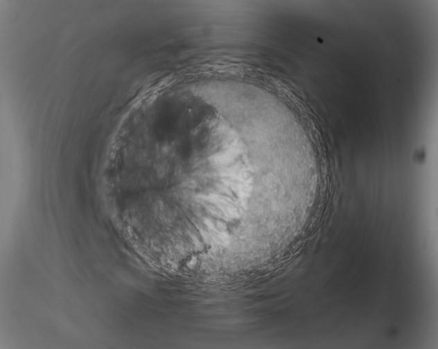X0000115071009200912081142