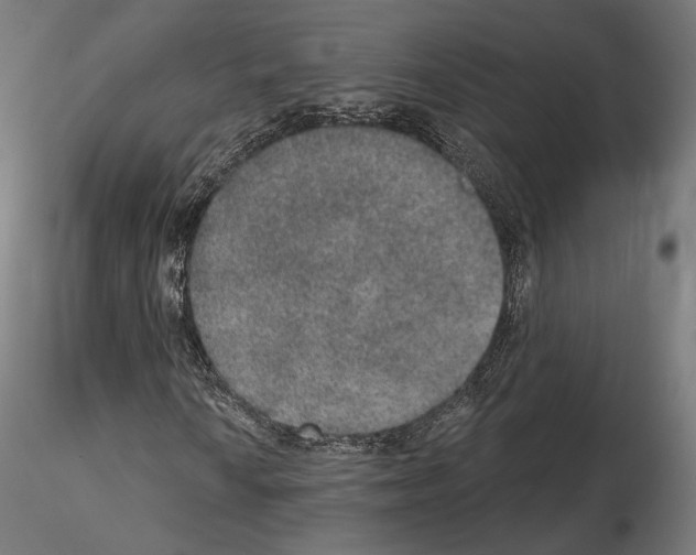 X0000115071010200912081142