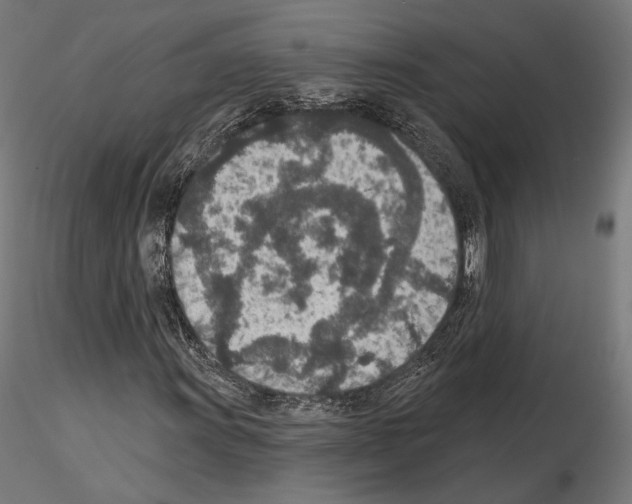 X0000115071011200912081142