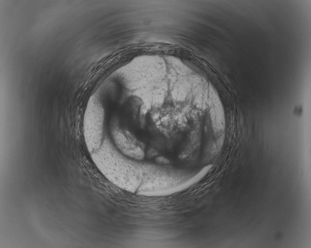 X0000115071013200912081142