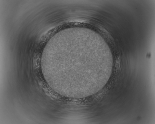 X0000115071014200912081142