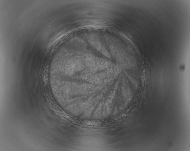X0000115071015200912081142