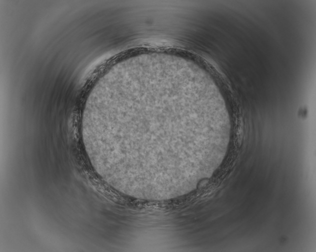 X0000115071016200912081142