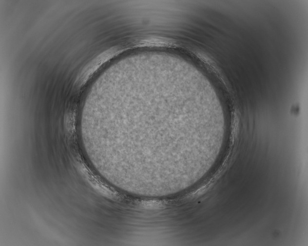 X0000115071017200912081142