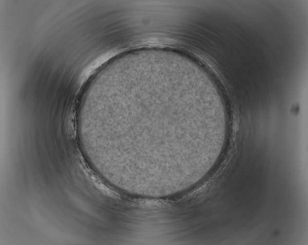 X0000115071018200912081142