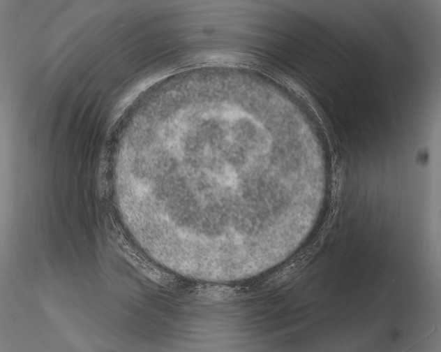 X0000115071019200912081142