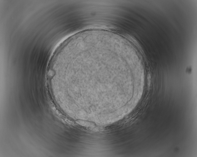 X0000115071020200912081142