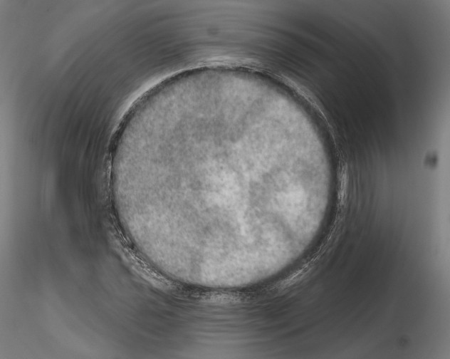 X0000115071021200912081142