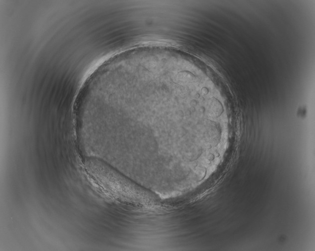 X0000115071022200912081143