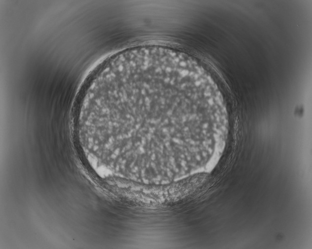 X0000115071024200912081143