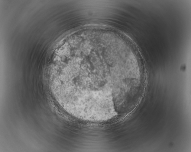 X0000115071025200912081143