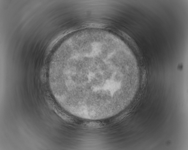 X0000115071027200912081143
