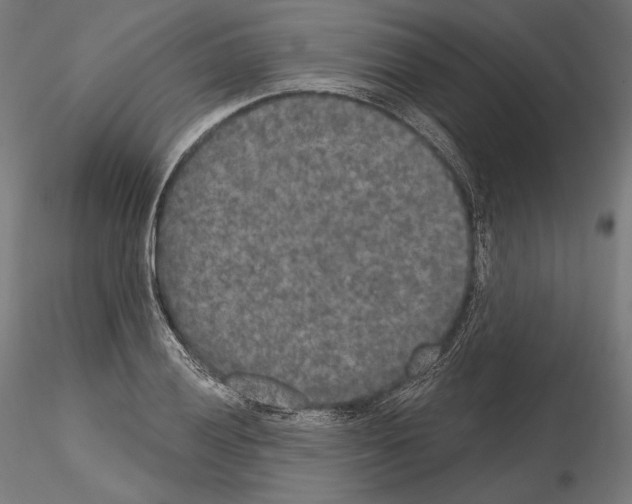 X0000115071028200912081143