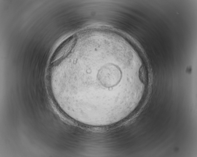 X0000115071029200912081143