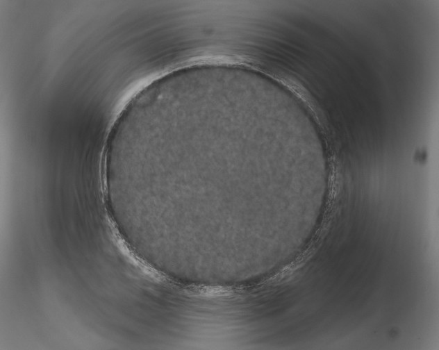 X0000115071030200912081143