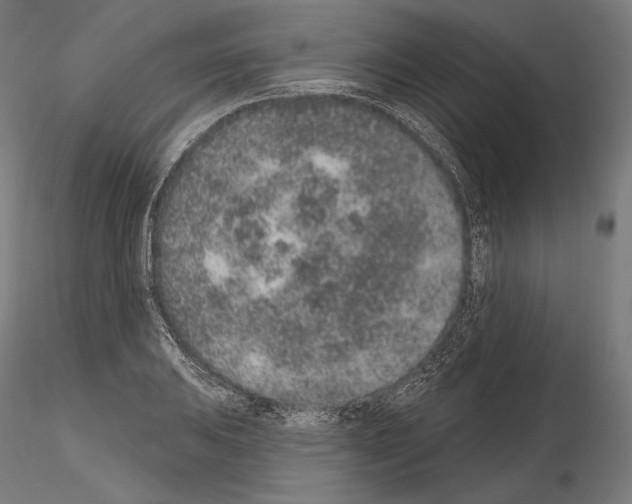 X0000115071031200912081143