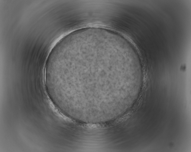 X0000115071032200912081143