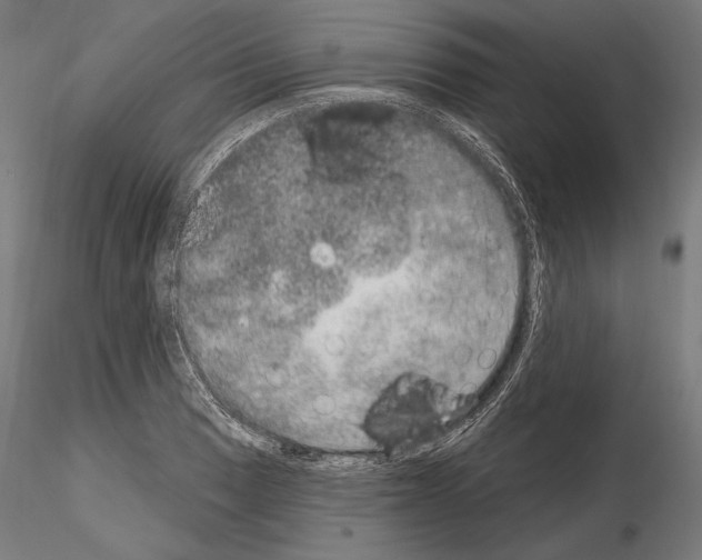 X0000115071033200912081143